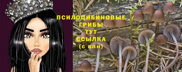 хмурый Покровск
