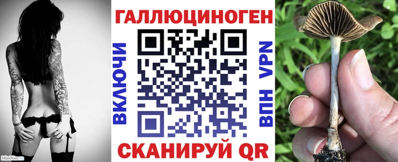 mega ссылки  Рассказово  Галлюциногенные грибы Cubensis  где продают  