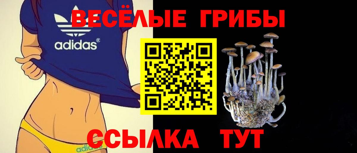 Рассказово  Галлюциногенные грибы Magic Shrooms  Вход с VPN 
